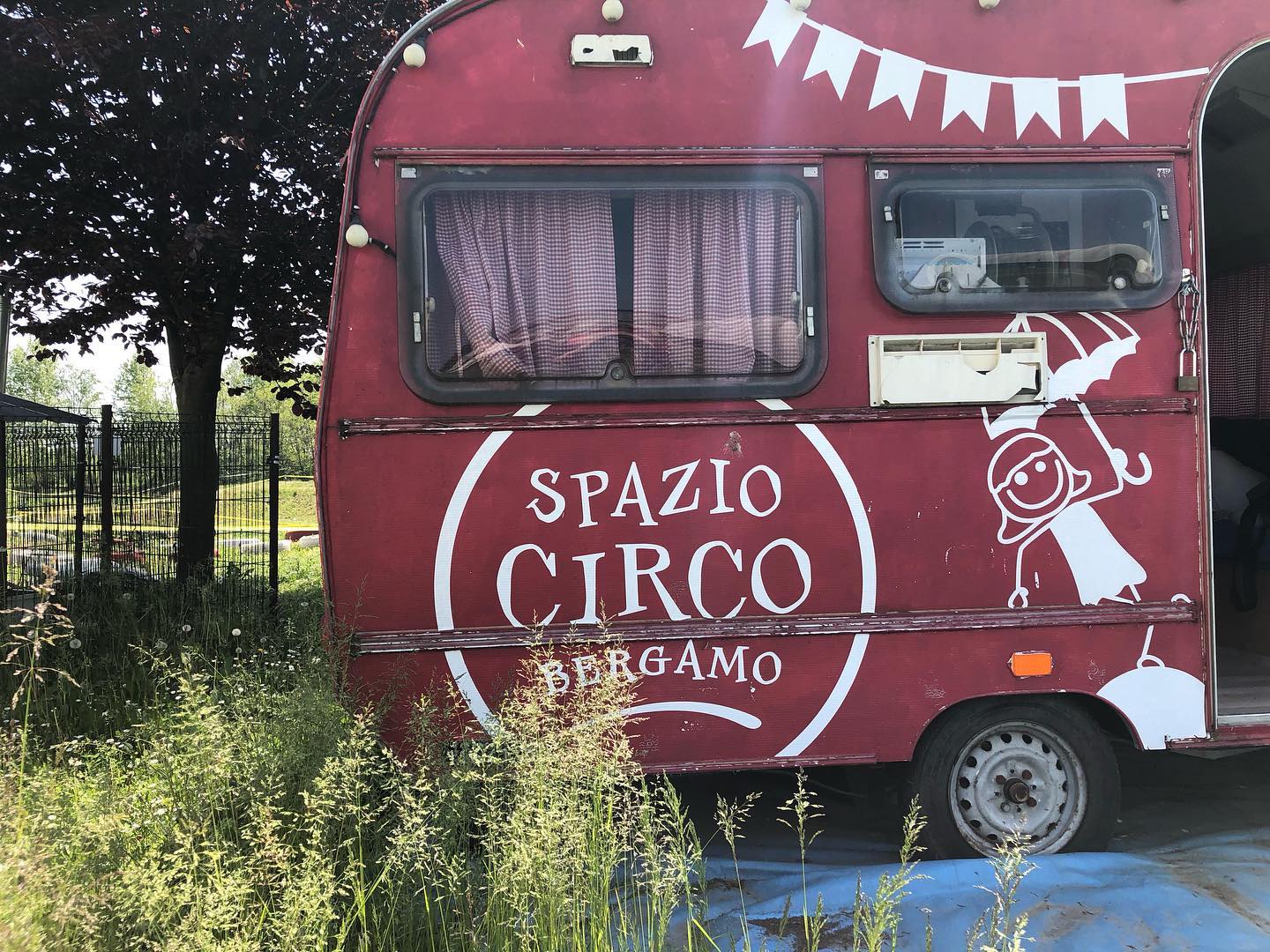 Il circo per tutti